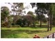 Wingham NSW 2429