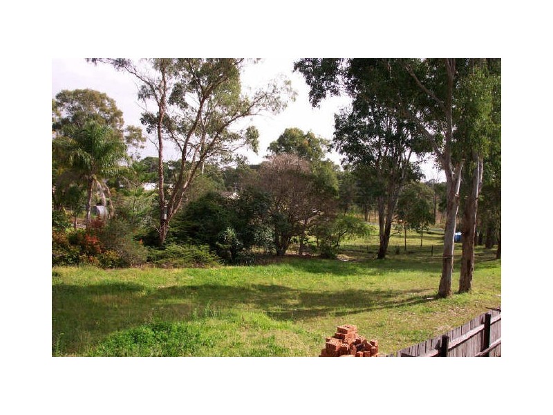 Wingham NSW 2429
