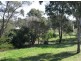 Wingham NSW 2429