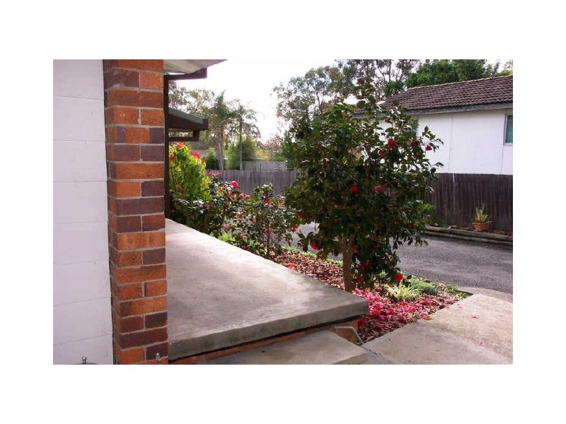Wingham NSW 2429