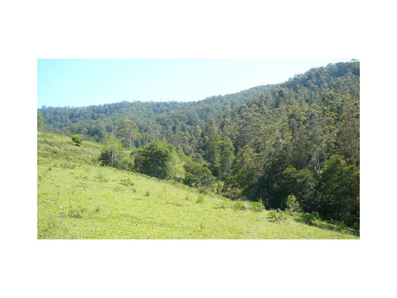 Wherrol Flat NSW 2429