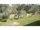 Wherrol Flat NSW 2429