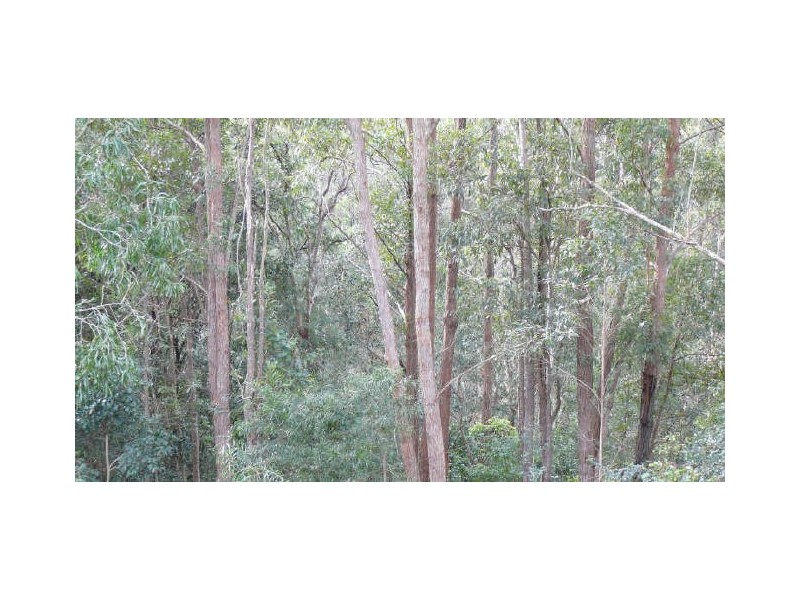 Wherrol Flat NSW 2429