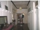 Wingham NSW 2429