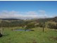 Knorrit Flat NSW 2424