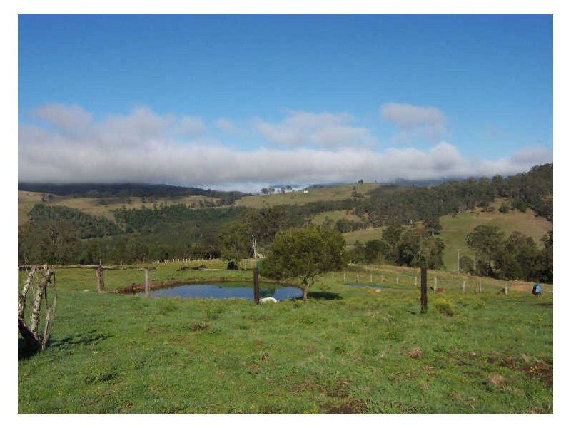 Knorrit Flat NSW 2424