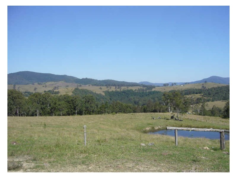 Knorrit Flat NSW 2424