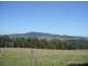 Knorrit Flat NSW 2424