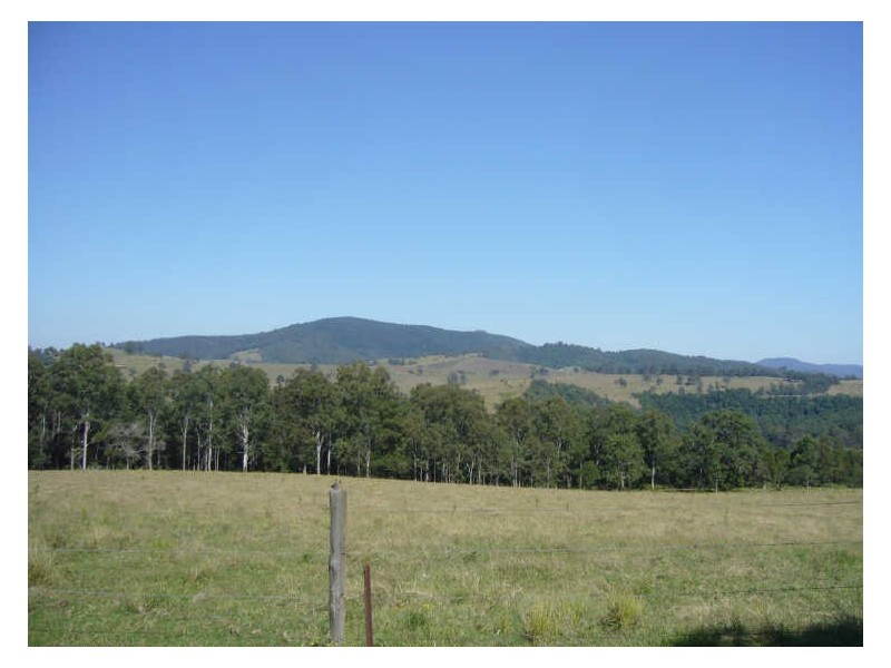 Knorrit Flat NSW 2424