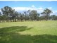 Wingham NSW 2429
