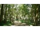 Bobin NSW 2429