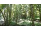Bobin NSW 2429