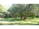 Bobin NSW 2429