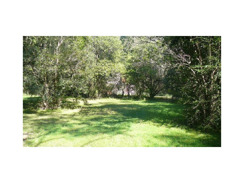 Bobin NSW 2429
