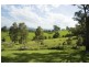 8 Abbotts Falls Road, Wingham NSW 2429