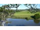 Wingham NSW 2429