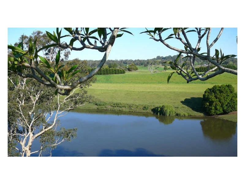 Wingham NSW 2429