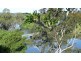 Wingham NSW 2429
