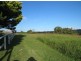 Tinonee NSW 2430