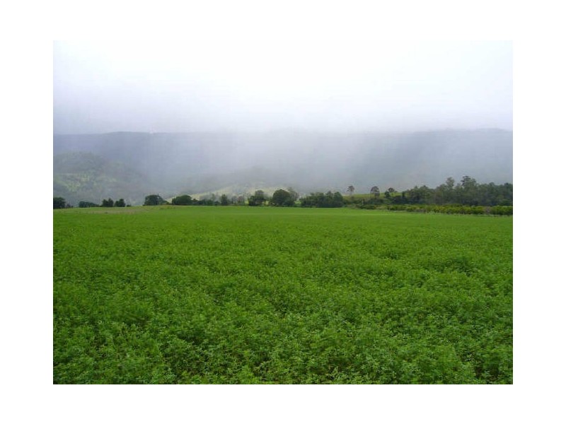 Mount George NSW 2424