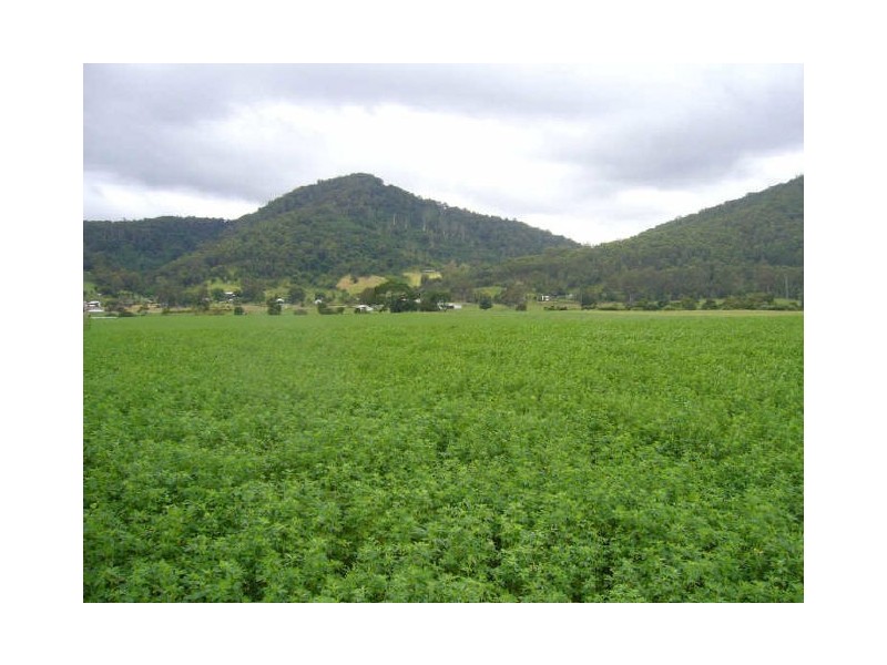 Mount George NSW 2424