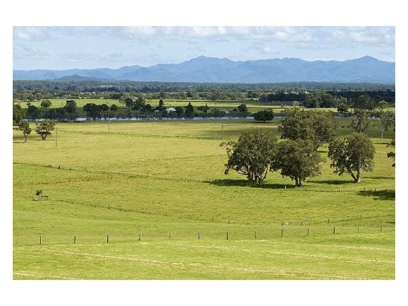 Mitchells Island NSW 2430