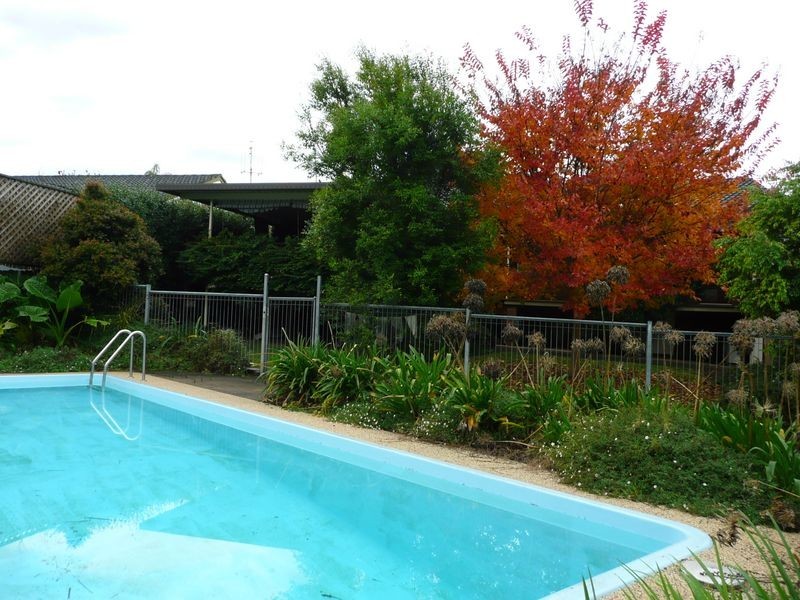 10 Bluegum Avenue, Wingham NSW 2429