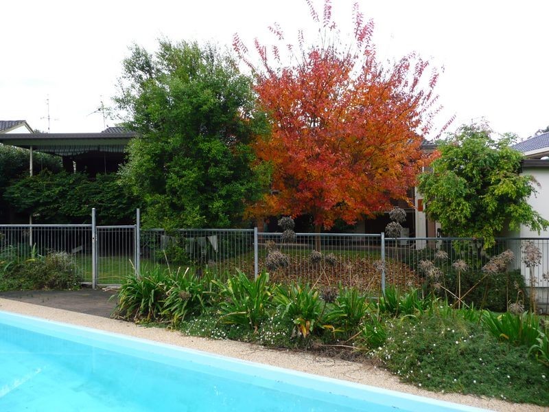 10 Bluegum Avenue, Wingham NSW 2429