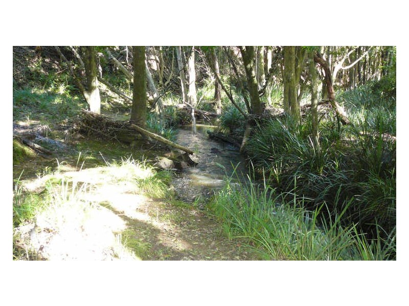 Hannam Vale NSW 2443