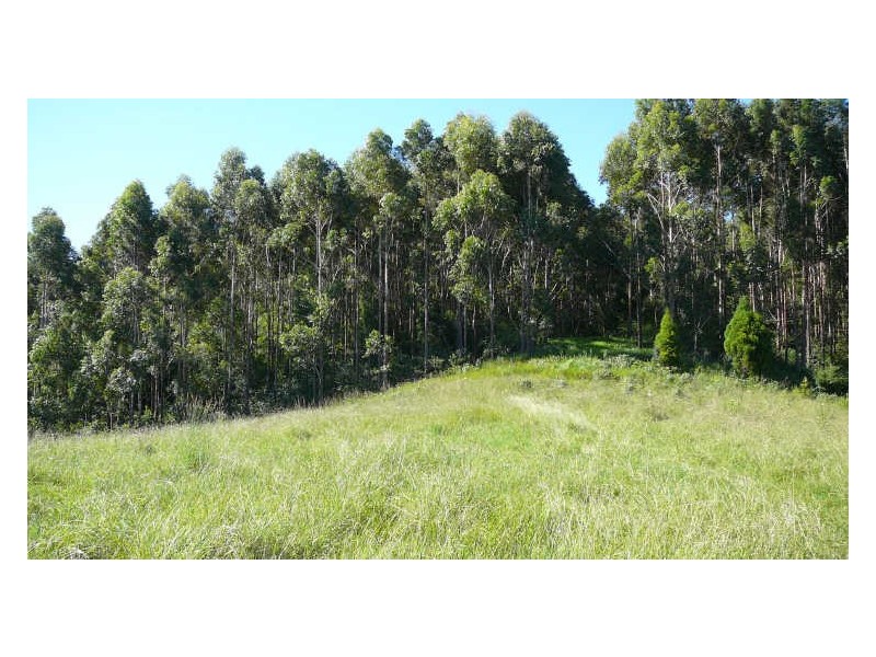 Hannam Vale NSW 2443