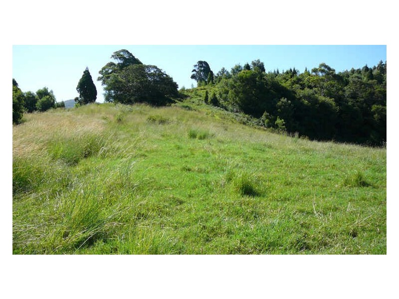 Hannam Vale NSW 2443