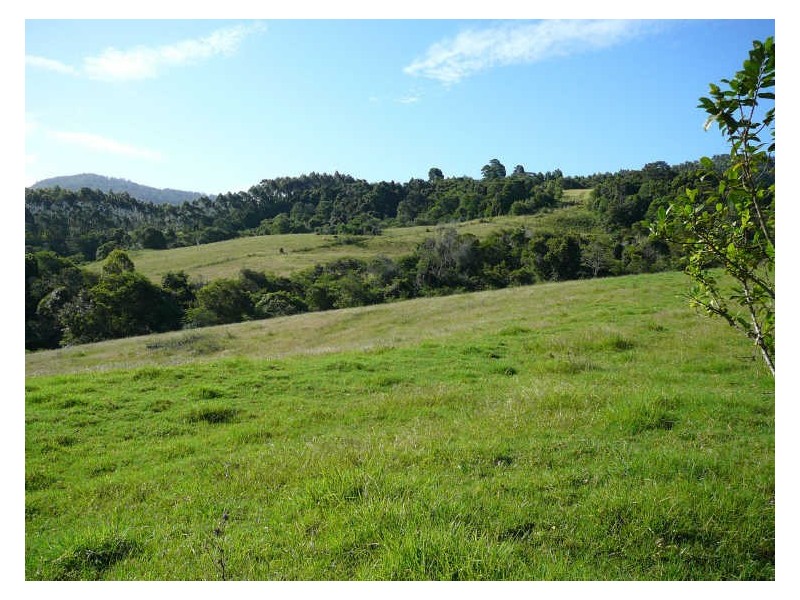 Hannam Vale NSW 2443