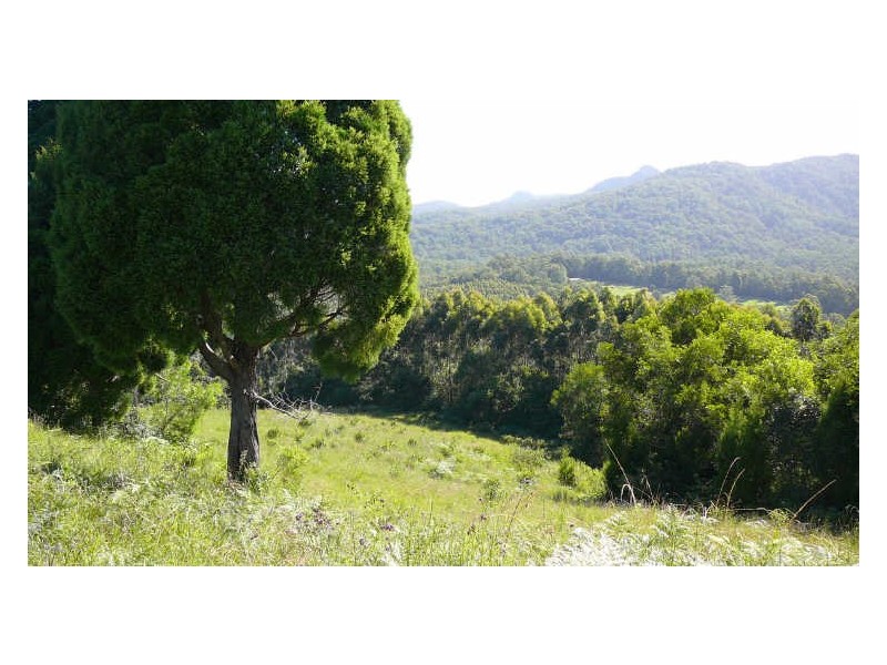 Hannam Vale NSW 2443