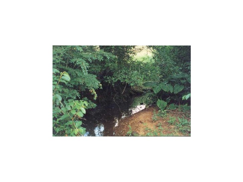 454 Deep Creek Road, Hannam Vale NSW 2443