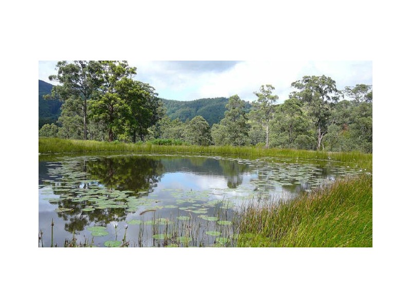 Burrell Creek NSW 2429
