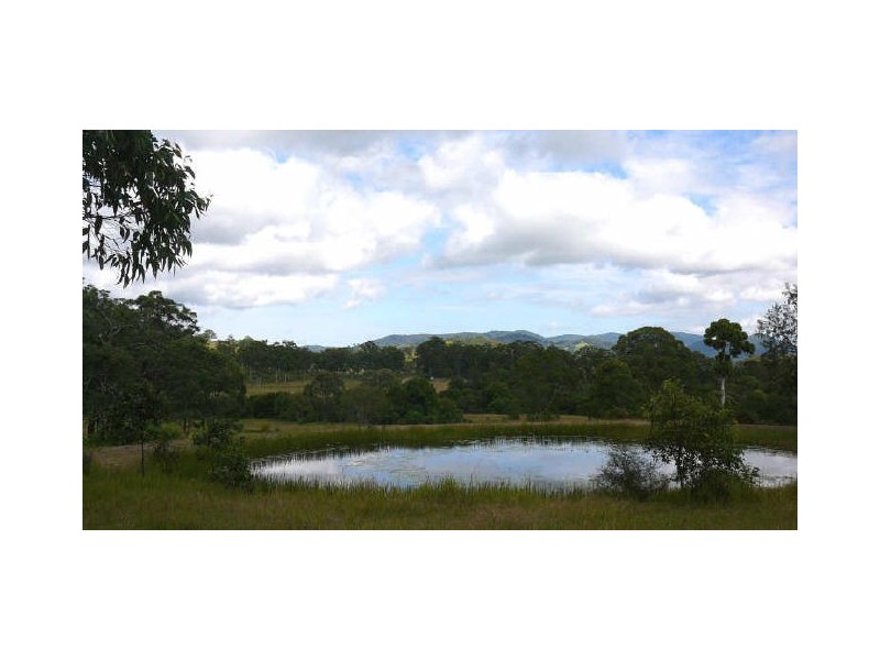 Burrell Creek NSW 2429