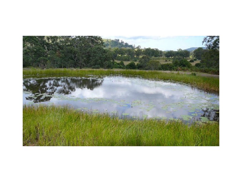 Burrell Creek NSW 2429