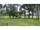 Burrell Creek NSW 2429