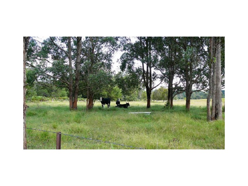 Burrell Creek NSW 2429