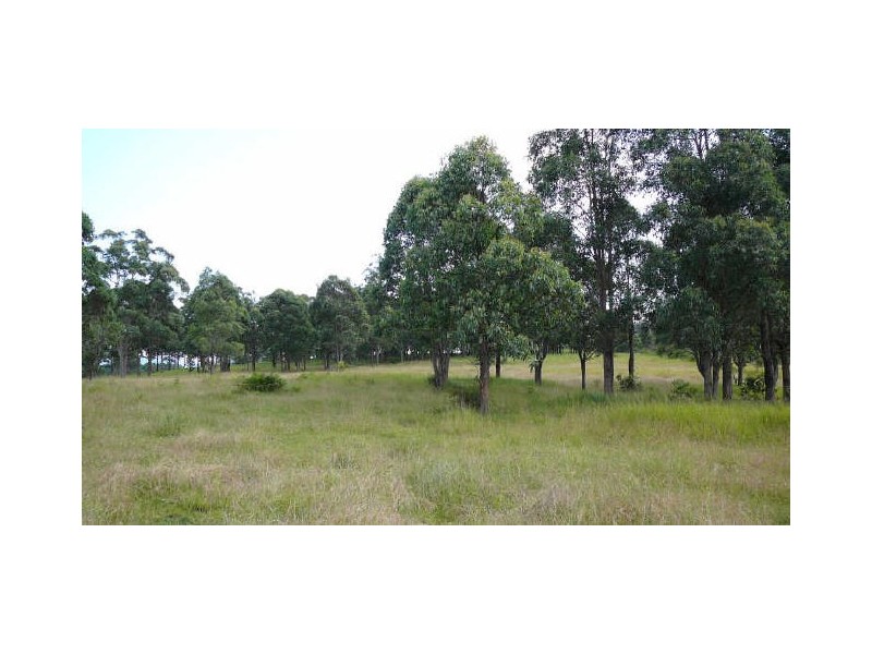 Burrell Creek NSW 2429