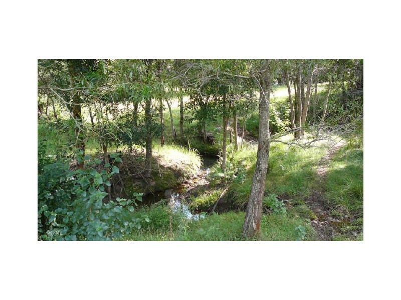 Burrell Creek NSW 2429