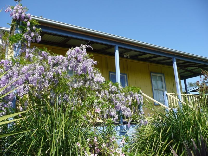 11-13 Primrose Street, Wingham NSW 2429