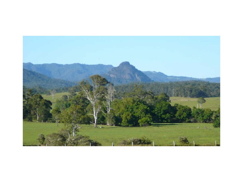 71 Yarrat Road, Cedar Party NSW 2429