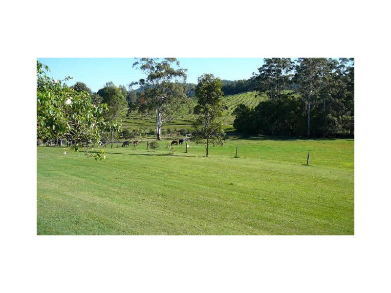 Stewarts River NSW 2443