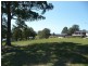 Wingham NSW 2429