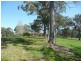 Wingham NSW 2429