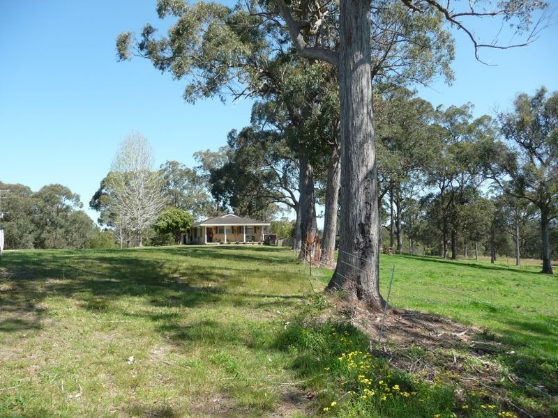 Wingham NSW 2429