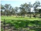 Wingham NSW 2429
