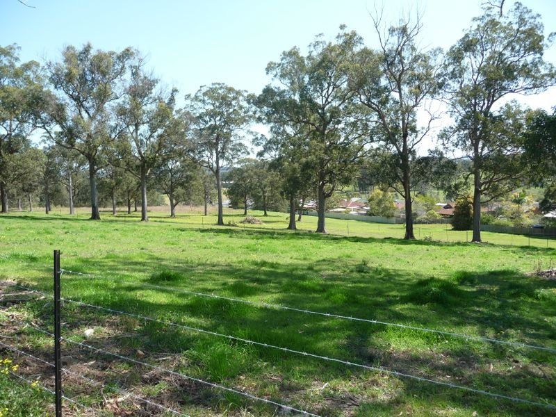 Wingham NSW 2429