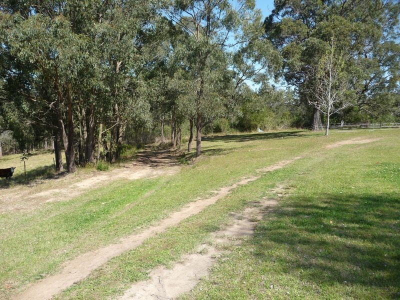 Wingham NSW 2429